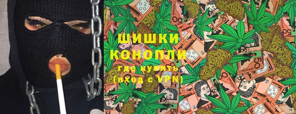 гидра Гусиноозёрск