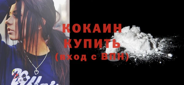 гидра Гусиноозёрск