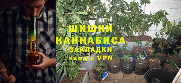 дмт Гусев