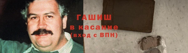 гидра Гусиноозёрск
