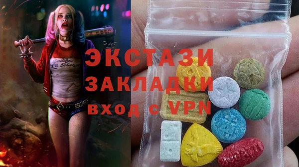 дмт Гусев