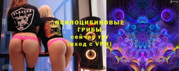 дмт Гусев