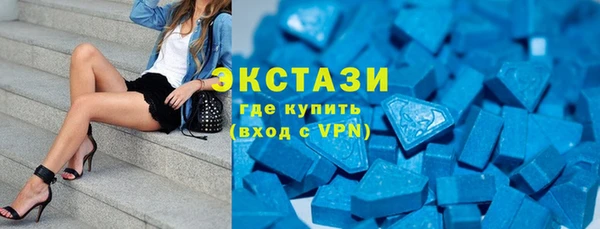 гидра Гусиноозёрск