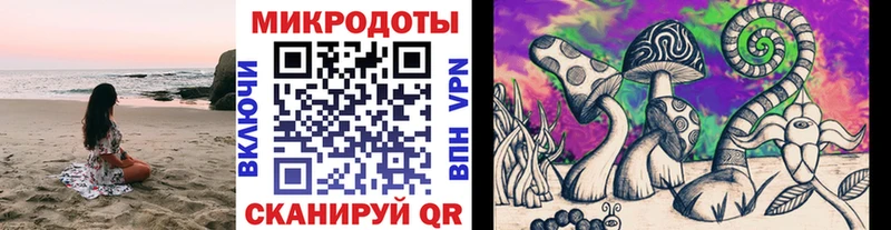 omg ссылка  дарнет шоп  Жуковка  Галлюциногенные грибы MAGIC MUSHROOMS 